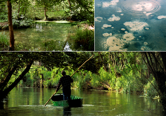 Fiume Sile (Tv), Ambienti del Parco naturale.